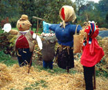 Gesellschaft für Gartenbau und Therapie - Angebot und Ziele