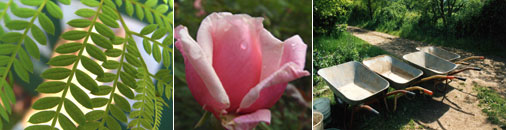 Gesellschaft fr Gartenbau und Therapie - Mitglied werden